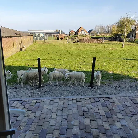 Mathildahoeve Apartament